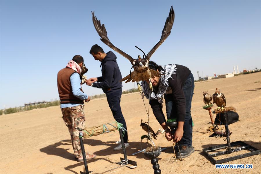 EGIPTO-GIZA-ESPECTACULO DE HALCONES