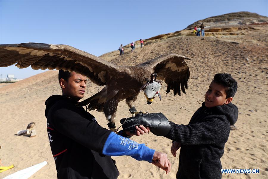 EGIPTO-GIZA-ESPECTACULO DE HALCONES