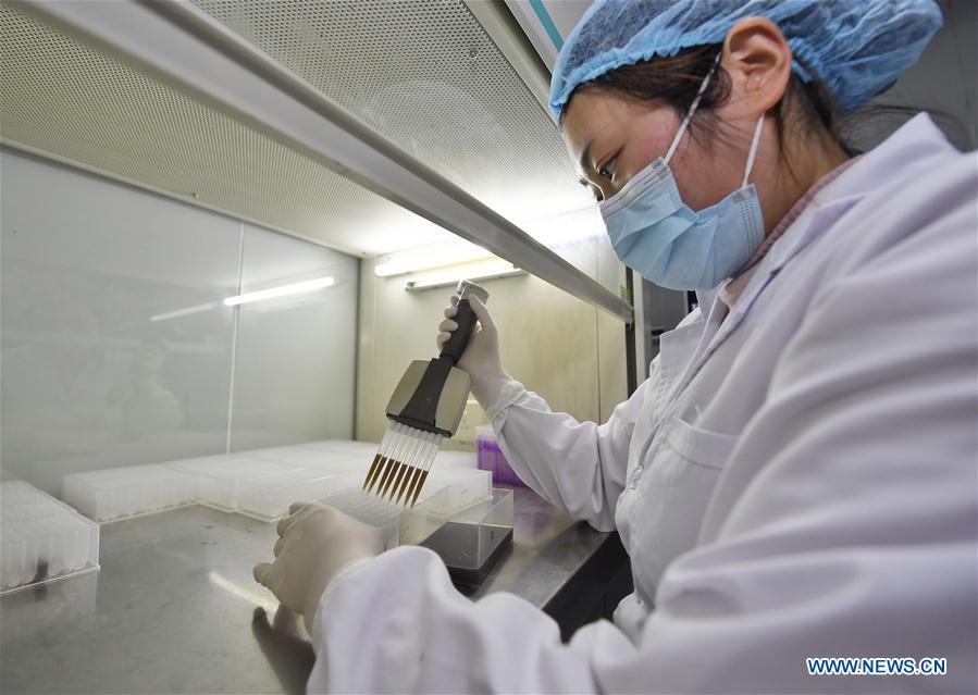 CHINA-CHENGDU-CORONAVIRUS-KITS-SUMINISTRO