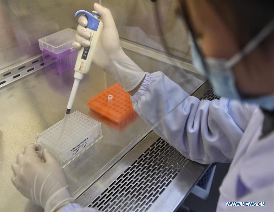 CHINA-CHENGDU-CORONAVIRUS-KITS-SUMINISTRO