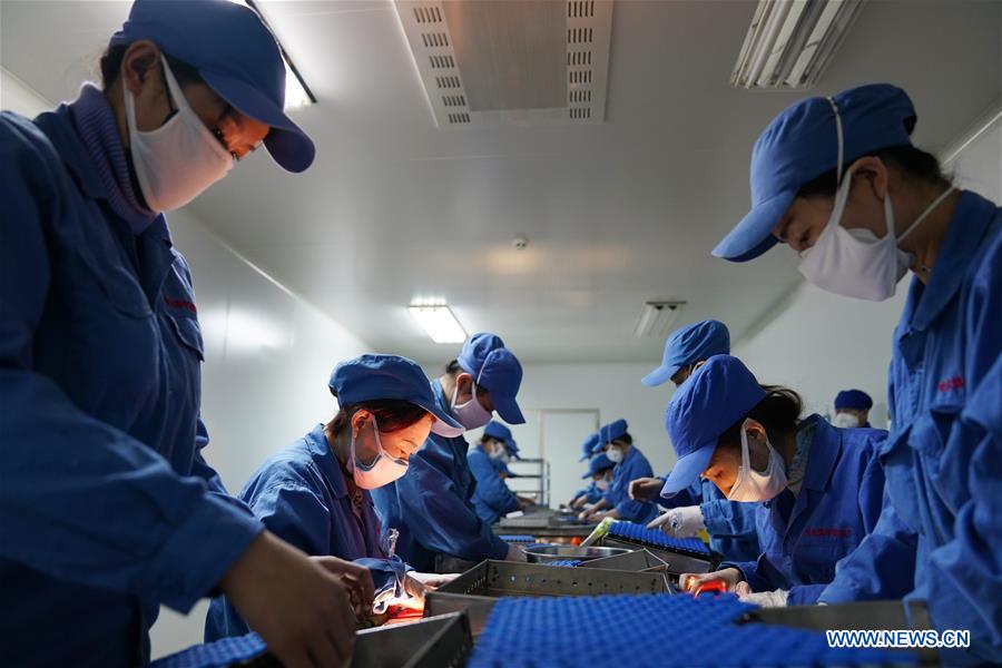 CHINA-HEILONGJIANG-HARBIN-REANUDACION DE LA PRODUCCION-SERIE