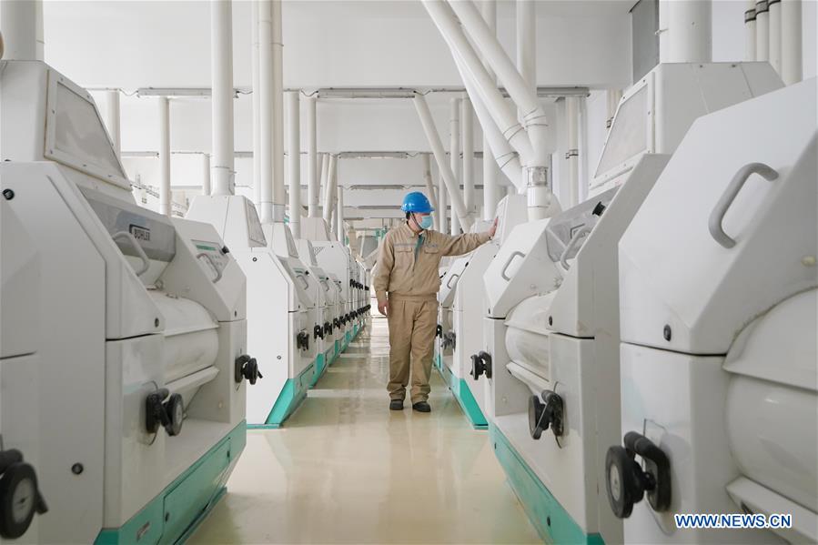 CHINA-HEILONGJIANG-HARBIN-REANUDACION DE LA PRODUCCION-SERIE