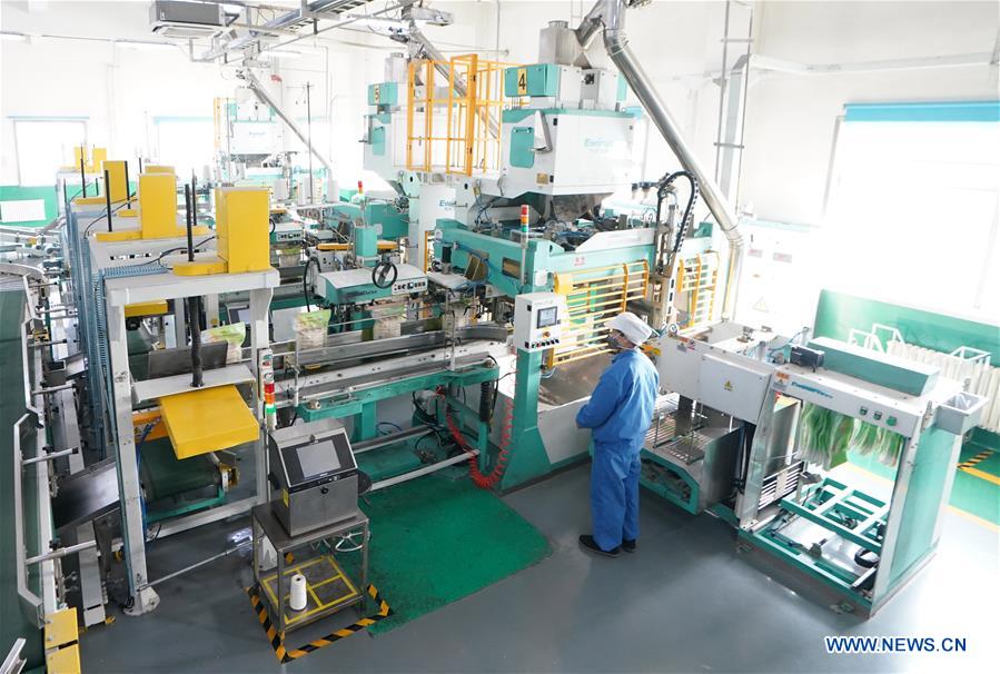 CHINA-HEILONGJIANG-HARBIN-REANUDACION DE LA PRODUCCION-SERIE