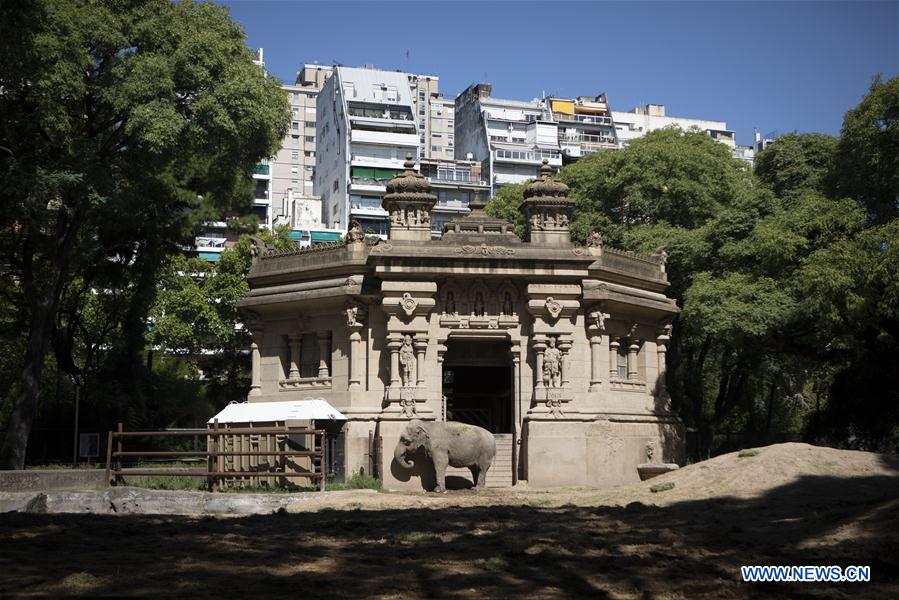 ARGENTINA-BUENOS AIRES-AMBIENTE-ELEFANTA-TRASLADO