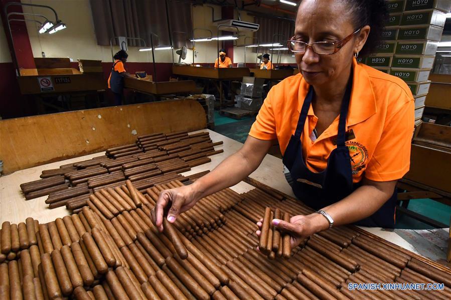 CUBA-HABANA-HABANOS-FABRICACION