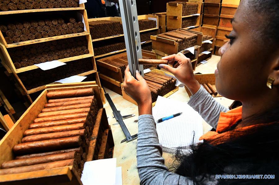 CUBA-HABANA-HABANOS-FABRICACION