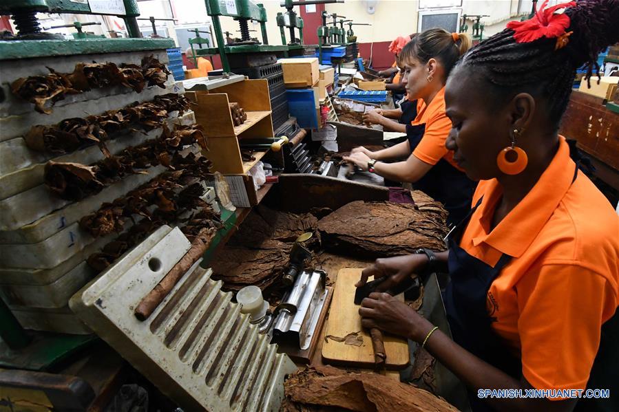 CUBA-HABANA-HABANOS-FABRICACION