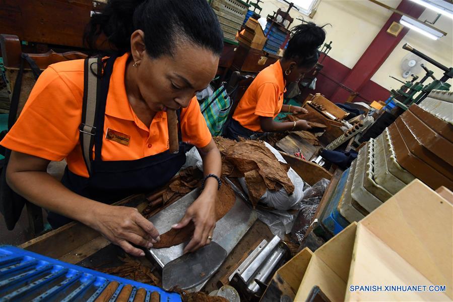 CUBA-HABANA-HABANOS-FABRICACION