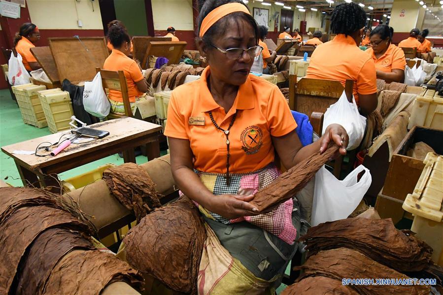 CUBA-HABANA-HABANOS-FABRICACION