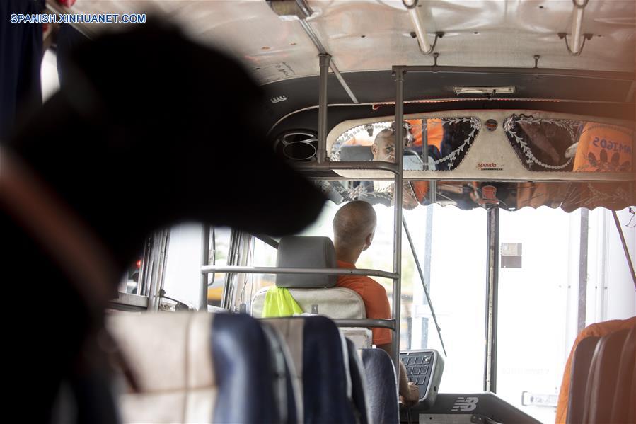 ARGENTINA-BUENOS AIRES-PASEO DE PERROS EN AUTOBUS
