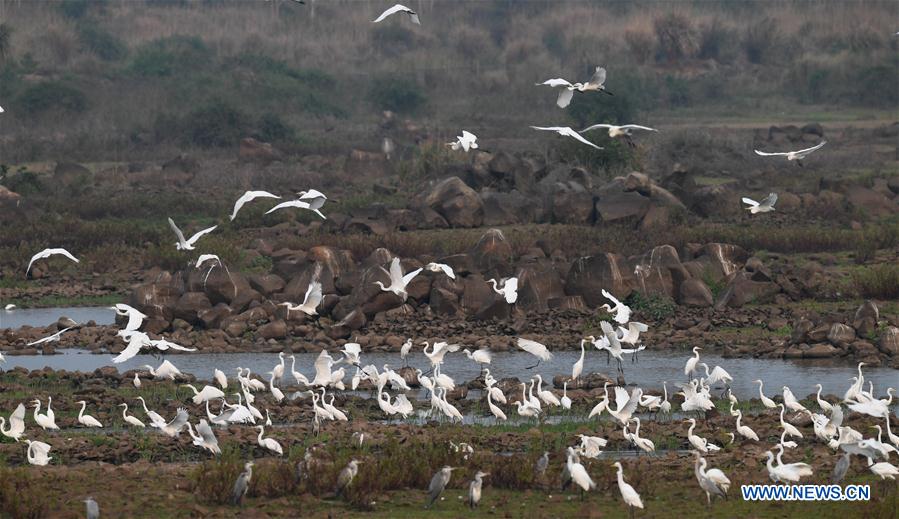 CHINA-HAINAN-LINGAO-GARCETAS