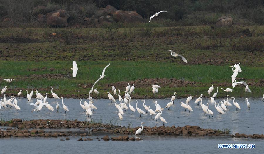 CHINA-HAINAN-LINGAO-GARCETAS