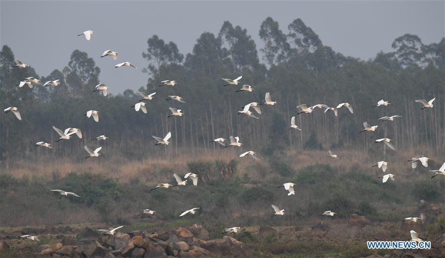 CHINA-HAINAN-LINGAO-GARCETAS