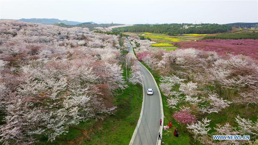 CHINA-GUIZHOU-QINGZHEN-PAISAJE DE PRIMAVERA