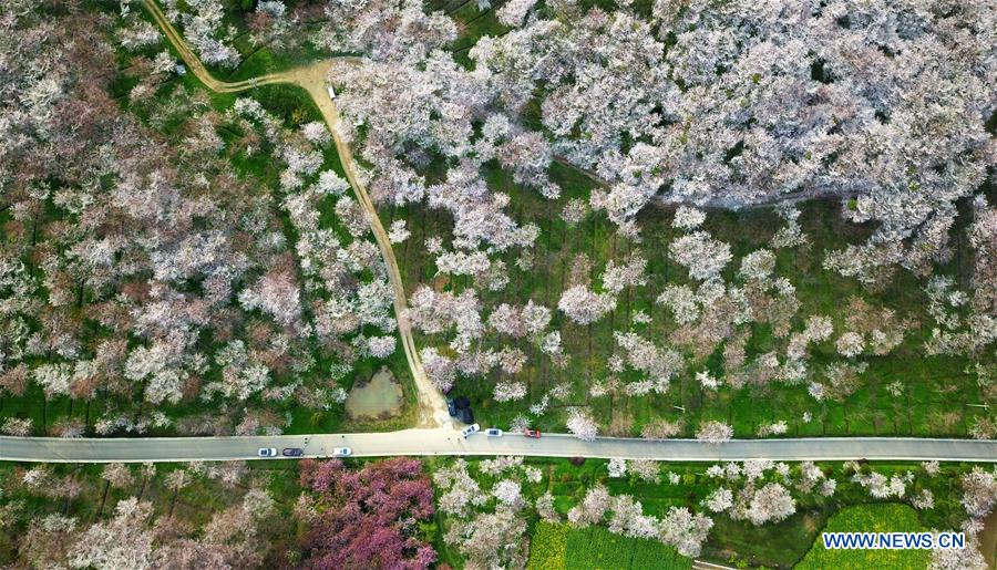 CHINA-GUIZHOU-QINGZHEN-PAISAJE DE PRIMAVERA