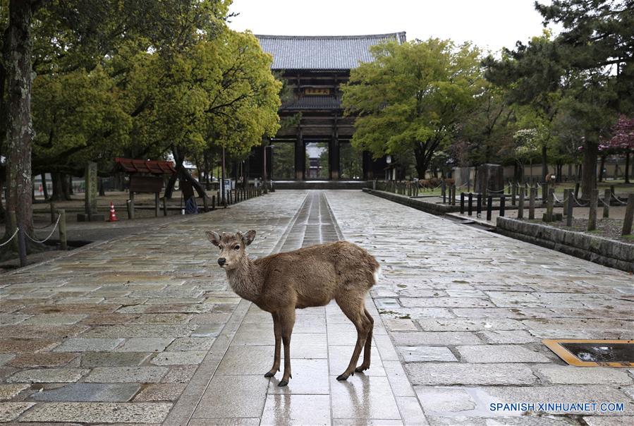 JAPON-NARA-COVID-19-CASOS