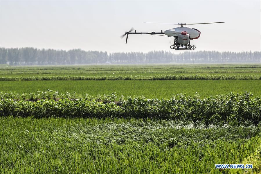 CHINA-LIAONING-AGRICULTURA-DRONES