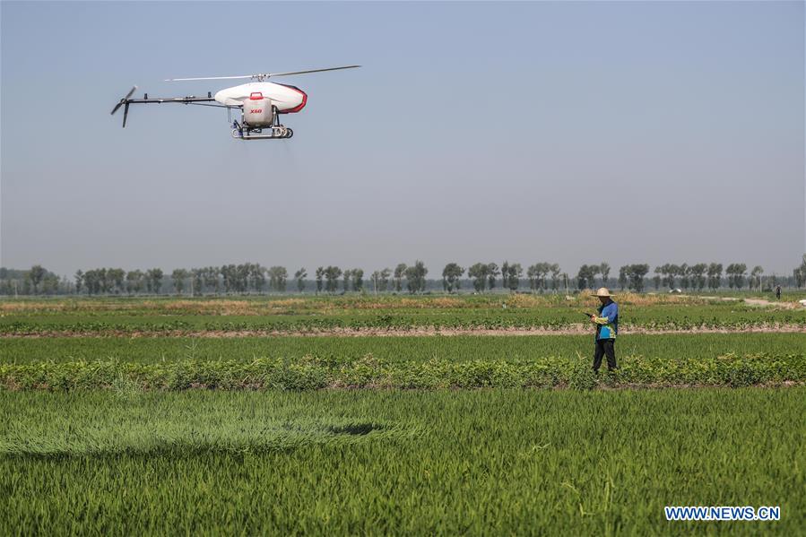 CHINA-LIAONING-AGRICULTURA-DRONES
