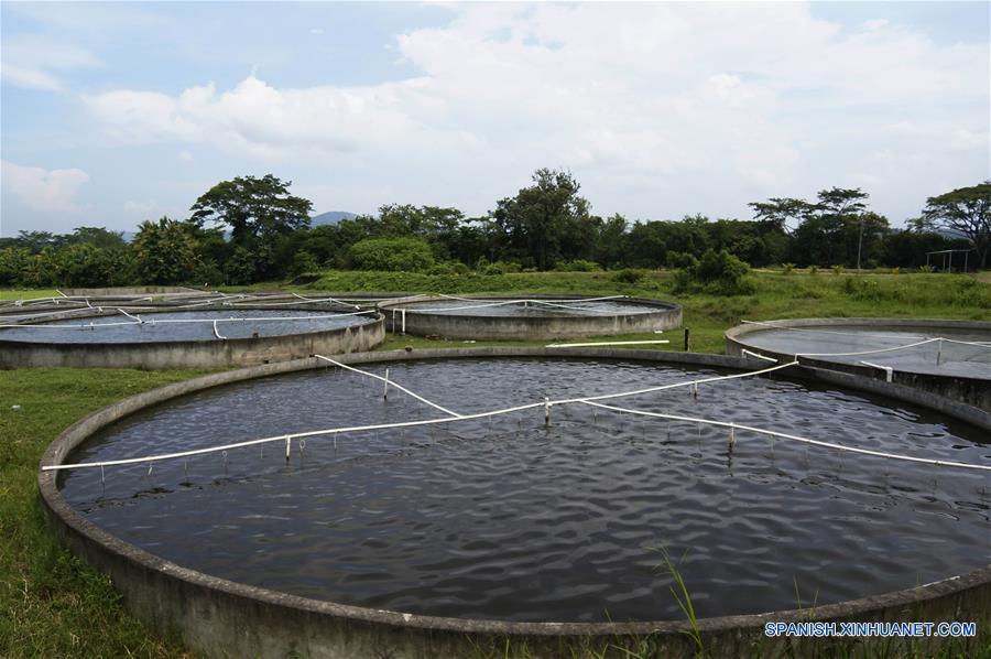 EL SALVADOR-LA LIBERTAD-CHINA-ACUICULTURA