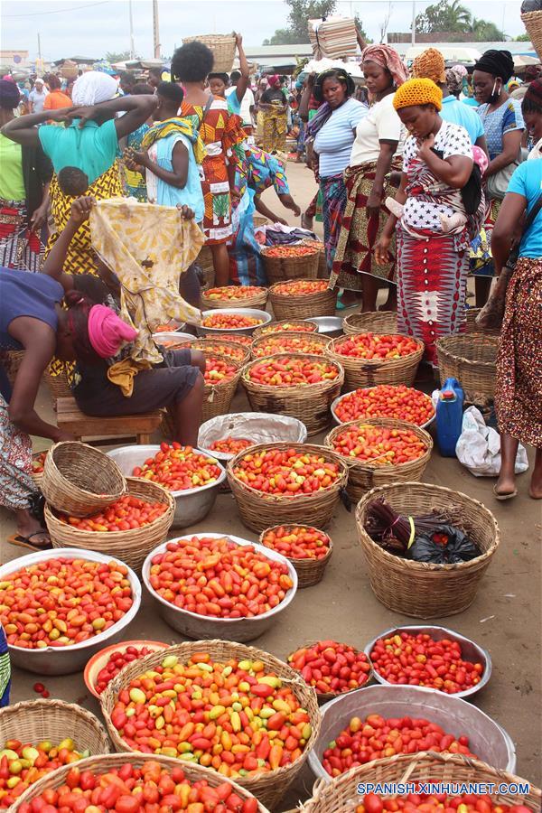 BENIN-OUIDAH-COSECHA