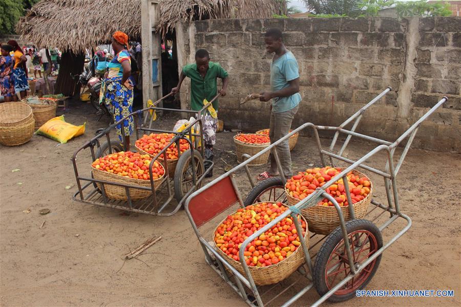 BENIN-OUIDAH-COSECHA