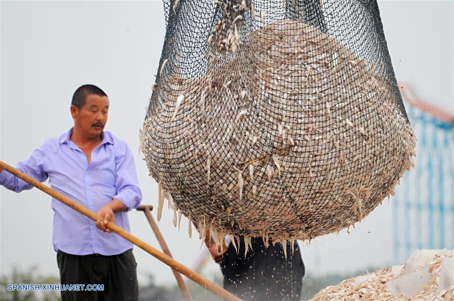 CHINA-ANHUI-ANCHOAS-CAPTURA