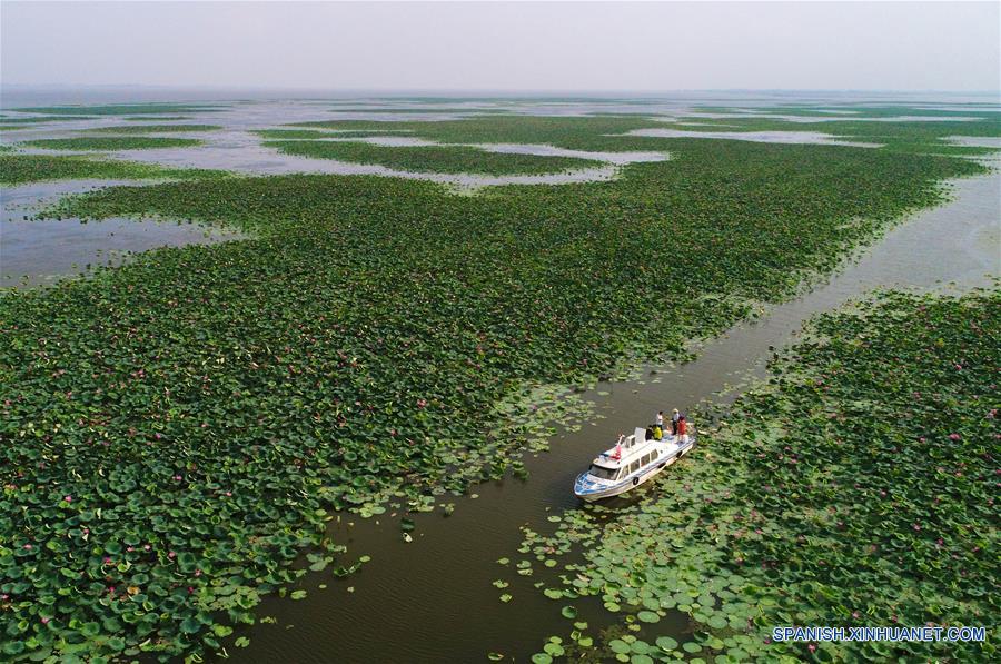 CHINA-HUBEI-LAGO HONGHU-PROTECCION-SERIE 