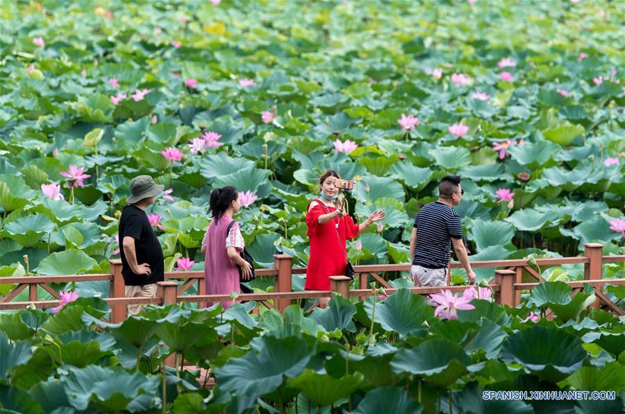CHINA-HUBEI-LAGO HONGHU-PROTECCION-SERIE 