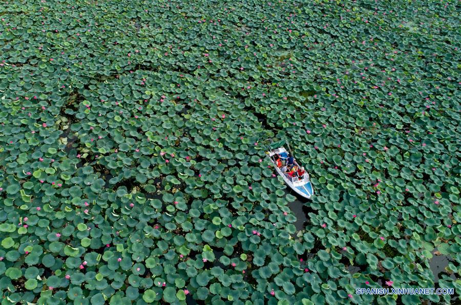 CHINA-HUBEI-LAGO HONGHU-PROTECCION-SERIE 