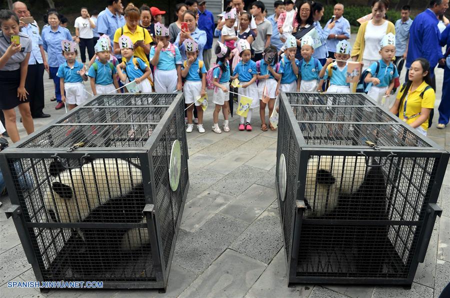 CHINA-CHANGCHUN-PANDAS GIGANTES-REGRESO