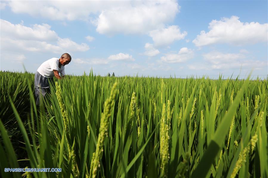 CHINA-SHANDONG-AGRICULTURA