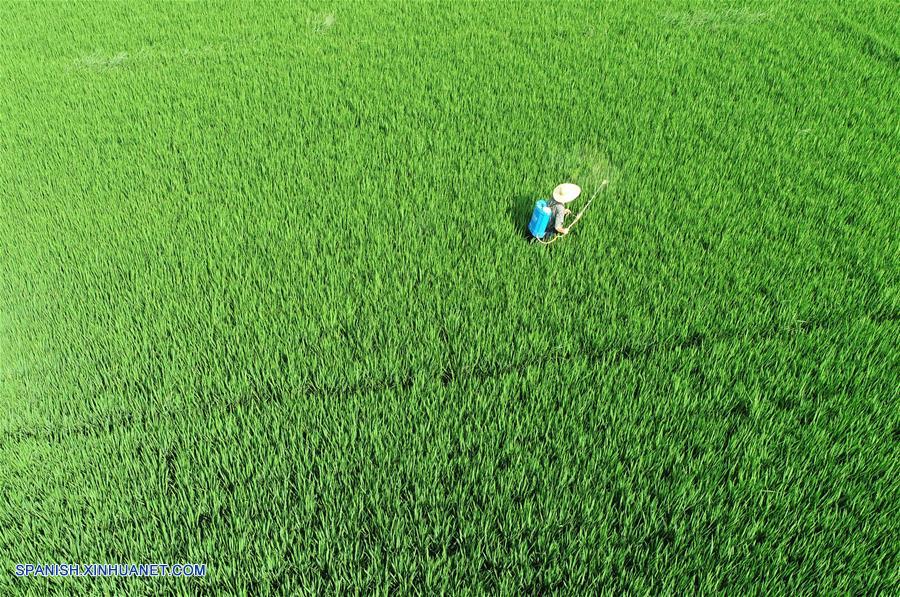 CHINA-SHANDONG-AGRICULTURA