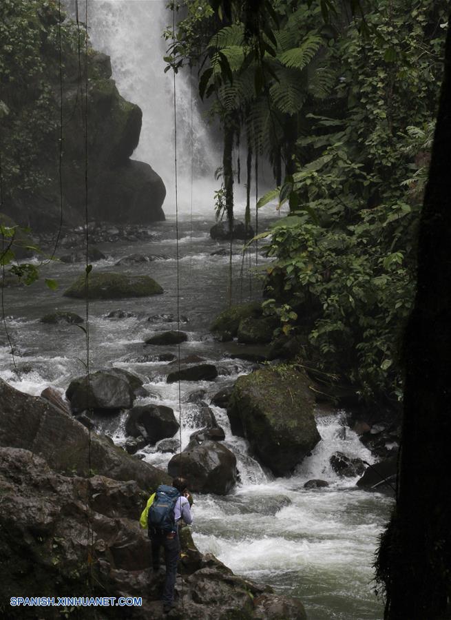 COSTA RICA-HEREDIA-DIA DE LOS PARQUES NACIONALES