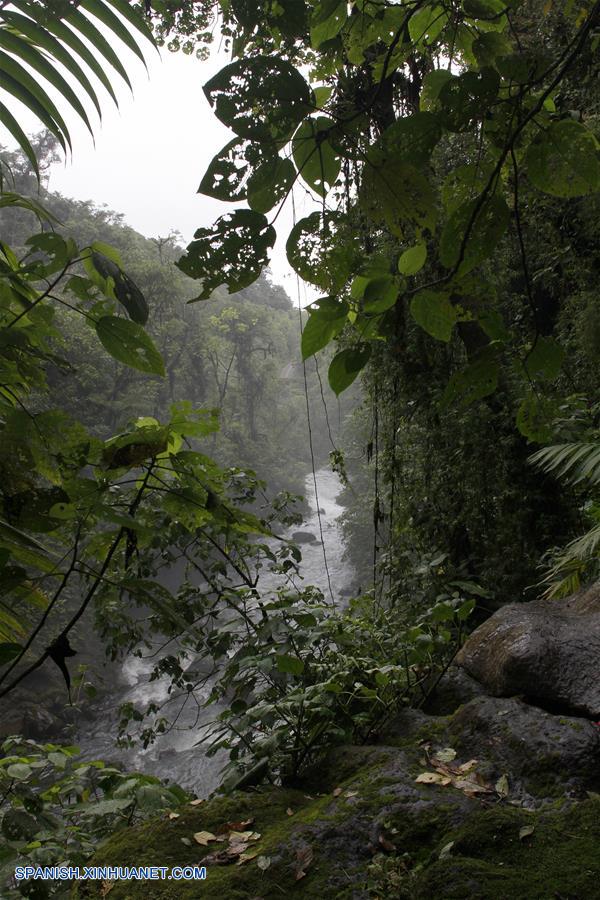 COSTA RICA-HEREDIA-DIA DE LOS PARQUES NACIONALES