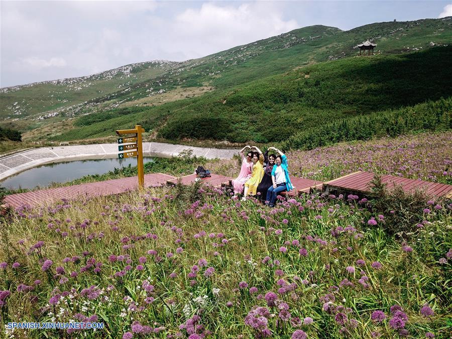 CHINA-GUIZHOU-FLOR DE CEBOLLINO