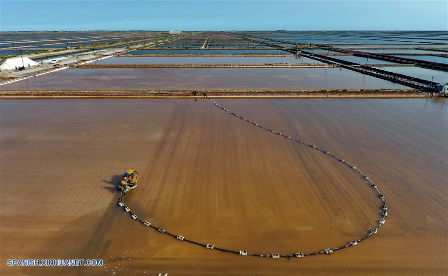 CHINA-HEBEI-SAL MARINA