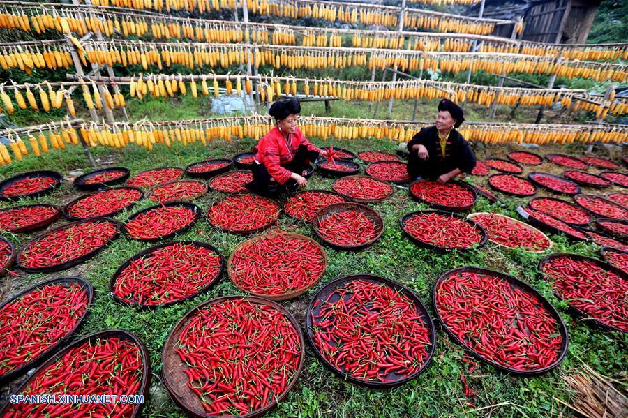 CHINA-GUILIN-FESTIVAL DE LA COSECHA