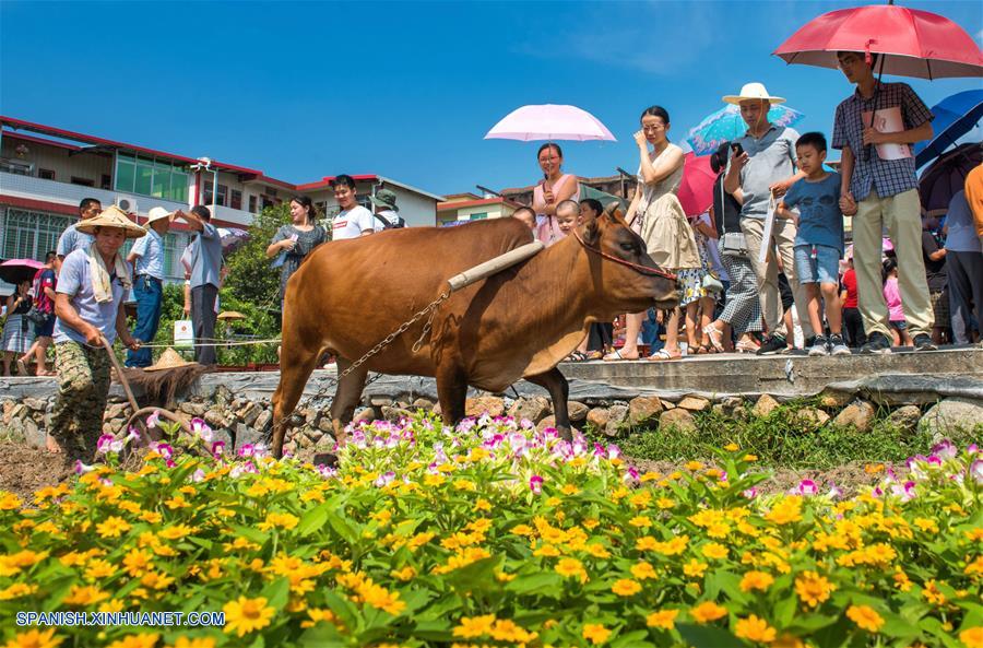 CHINA-FUJIAN-FESTIVAL DE LA COSECHA