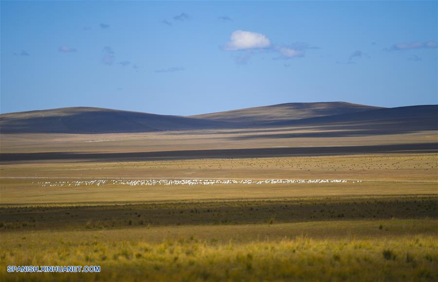 CHINA-XILINGOL-PRADERA DE ULGAI-PAISAJE