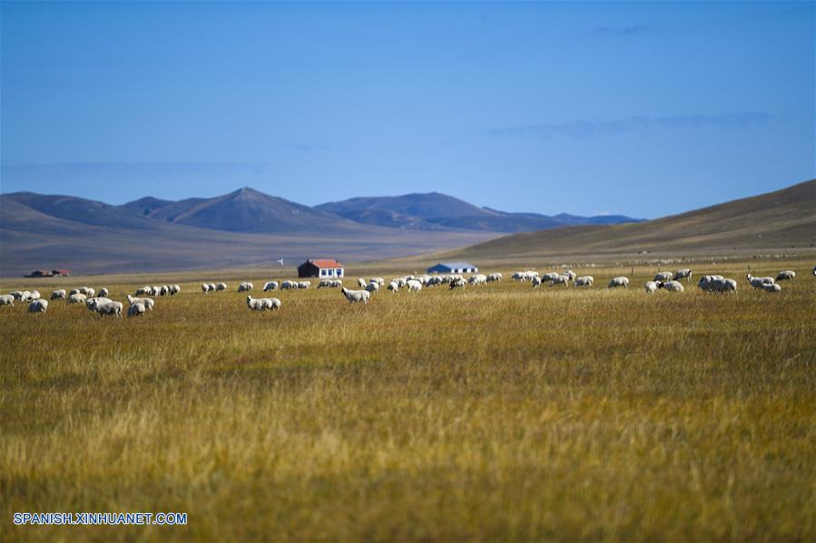 CHINA-XILINGOL-PRADERA DE ULGAI-PAISAJE