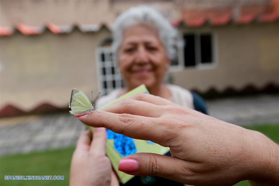 MEXICO-CIUDAD DE MEXICO-CRIADERO MARIPOSAS