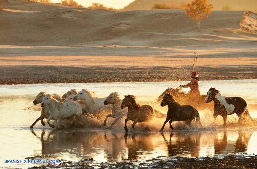 CHINA-CHIFENG-PRADERA-CABALLOS