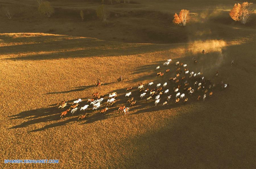 CHINA-CHIFENG-PRADERA-CABALLOS
