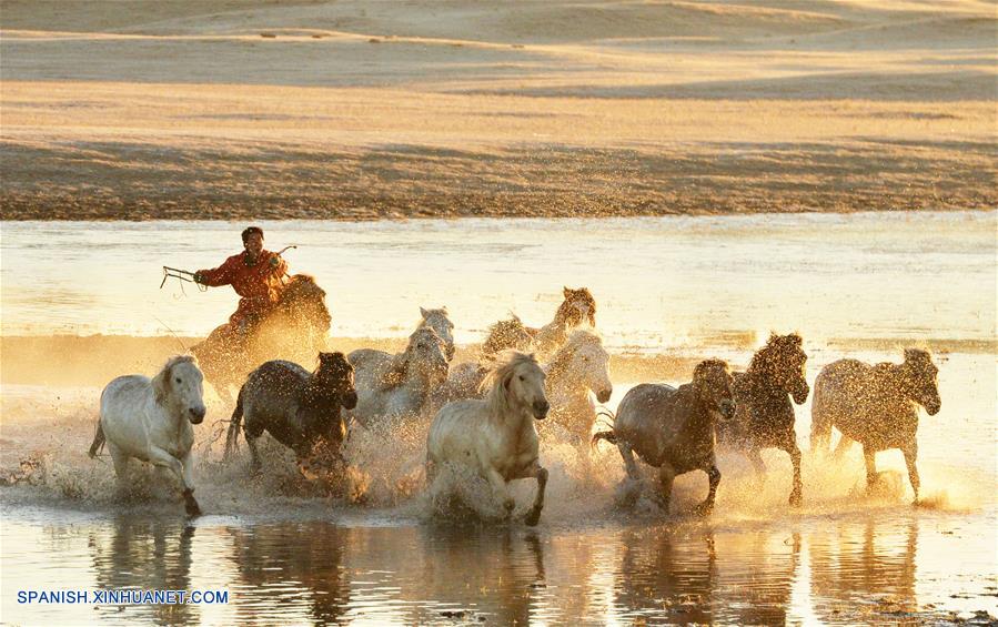 CHINA-CHIFENG-PRADERA-CABALLOS