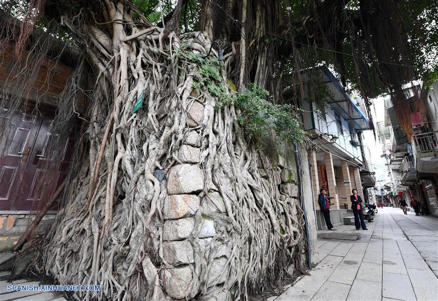 CHINA-FUJIAN-ANTIGUA VILLA 
