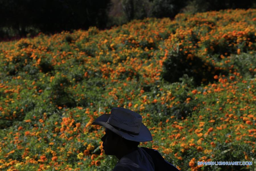MEXICO-LOMA BLANCA-DIA DE MUERTOS-CEMPASUCHIL