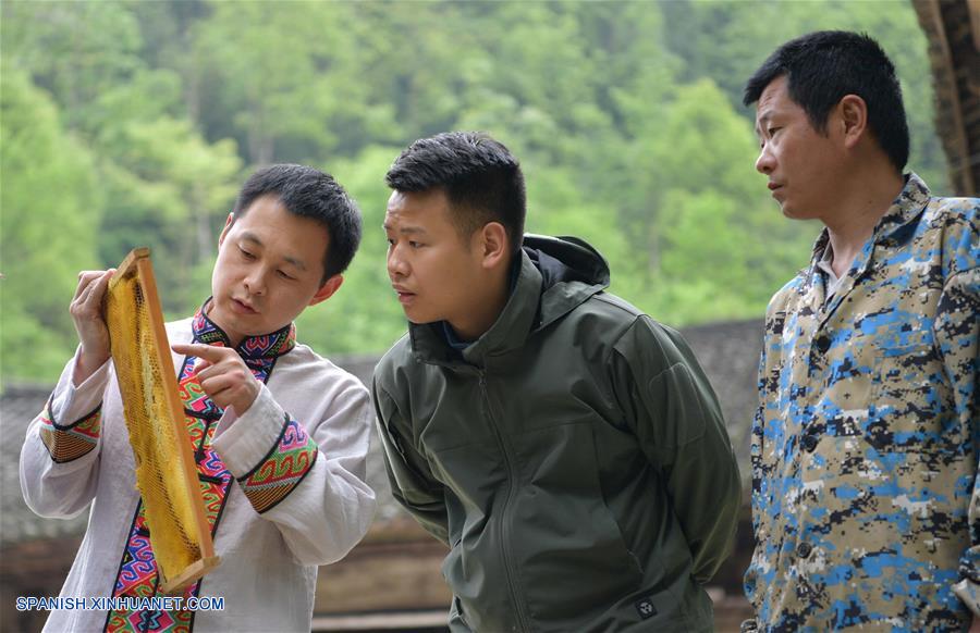 CHINA-HUBEI-APIARIO-SERIE