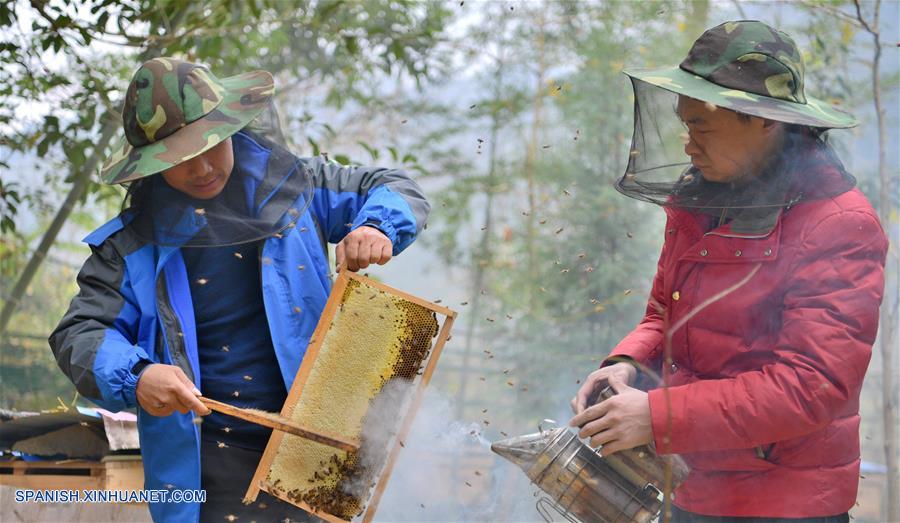 CHINA-HUBEI-APIARIO-SERIE