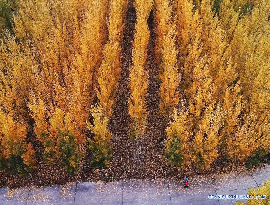 CHINA-SHANDONG-PAISAJES 