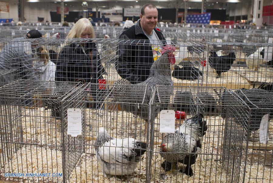 CANADA-TORONTO-FERIA AGRICOLA